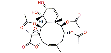 Violide G